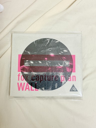 fox capture plan - WALL