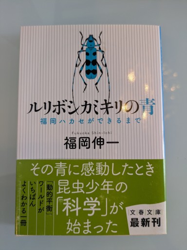ルリボシカミキリの青