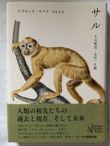 サル その歴史・文化・生態