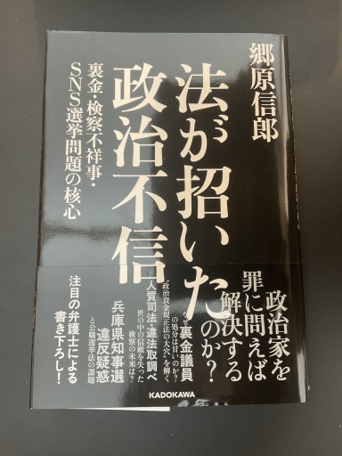 法が招いた政治不信 裏金・検察不祥事・SNS選挙問題の核心