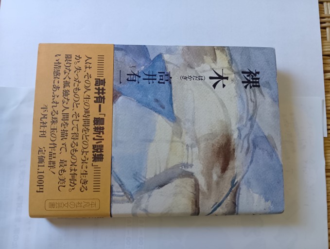 裸木