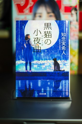 黒猫の小夜曲