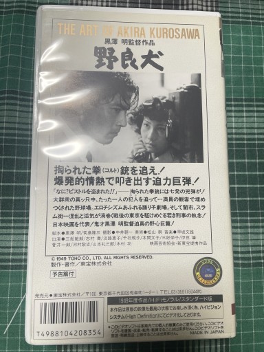 野良犬