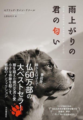 雨上がりの君の匂い - sumi book room