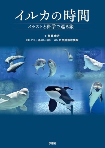 イルカの時間   イラストと科学で巡る旅 - 今世を満喫するねこ