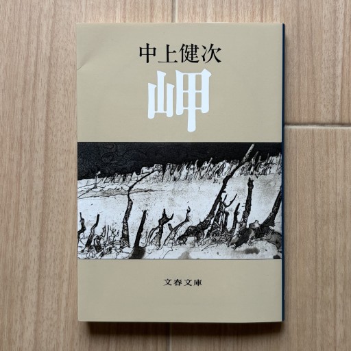 岬