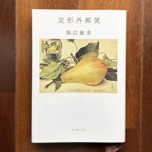 定形外郵便（新潮文庫 ほ 16-8）