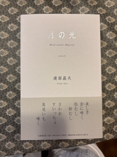 月の光