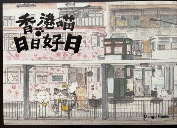 香港貓日日好日 - 香港書房