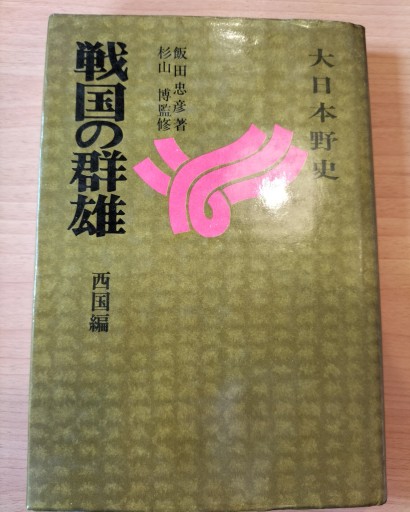 大日本野史 戦国の群像 西国編