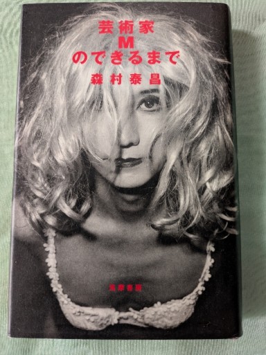 芸術家Mのできるまで - ギャラリーえん 66books