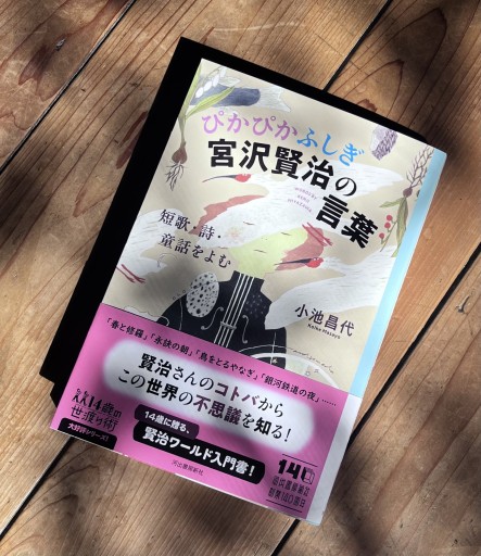 ぴかぴかふしぎ宮沢賢治