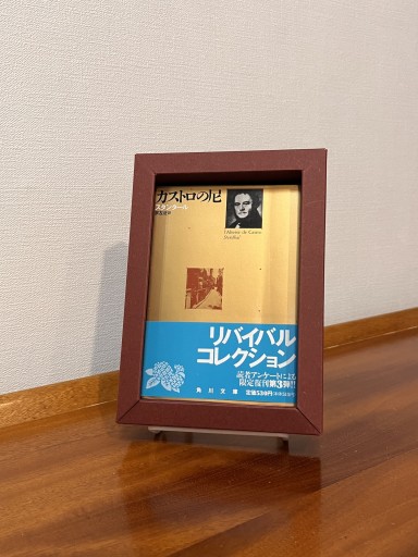 カストロの尼