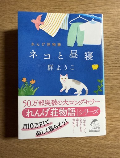 ネコと昼寝