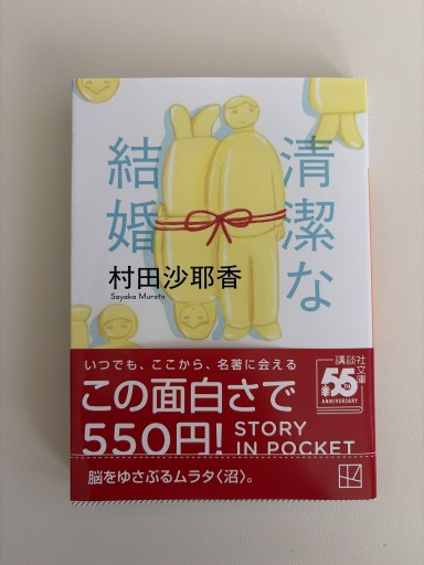 清潔な結婚(講談社文庫 む 31-5)