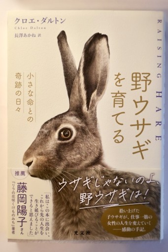 野ウサギを育てる 小さな命との奇跡の日々