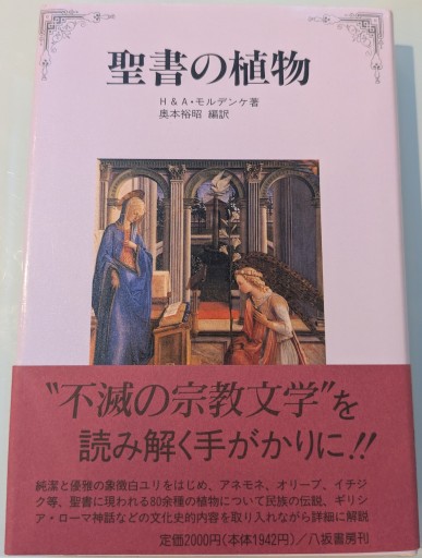 聖書の植物