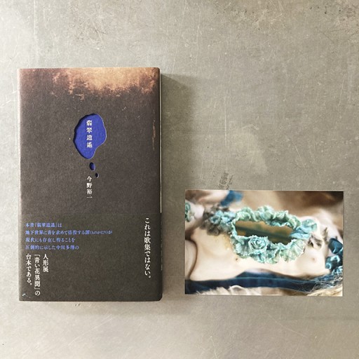 【写真付4】『翡翠逍遙』今野裕一 - 中川多理 Favorite Journal