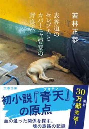 表参道のセレブ犬とカバーニャ要塞の野良犬（文春文庫 わ 25-1）