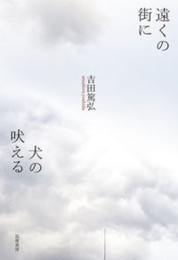 遠くの街に犬の吠える（単行本） - 柳瀬 博一の本棚