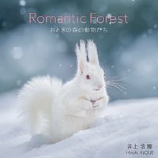 Romantic Forest おとぎの森の動物たち - 緑陰カフェ
