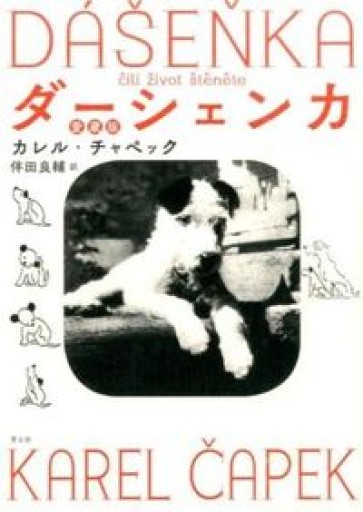 ダーシェンカ 愛蔵版 - Book Balade