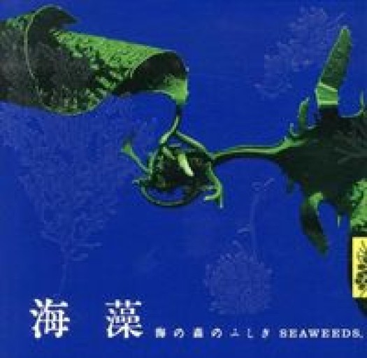 海藻 海の森のふしぎ（LIXIL BOOKLET） - FOOD COMMONS / 浅井直子
