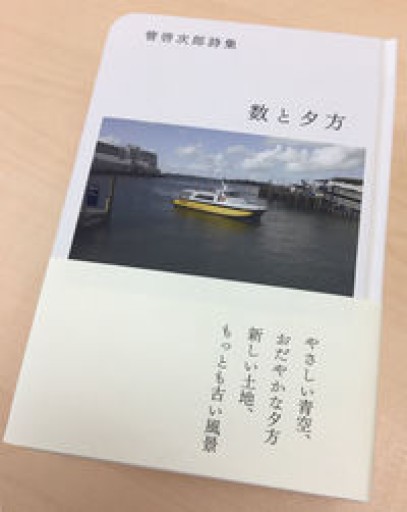 数と夕方 管啓次郎詩集 - Chelsea's Ledge