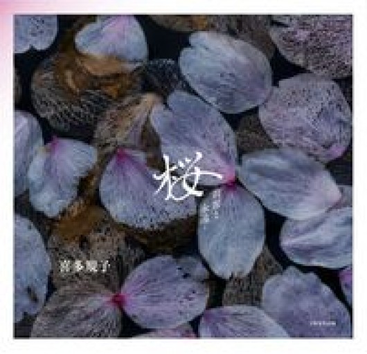 桜 －刹那と永遠－