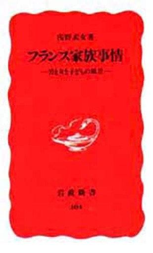 フランス家族事情: 男と女と子どもの風景(岩波新書 新赤版 404)
