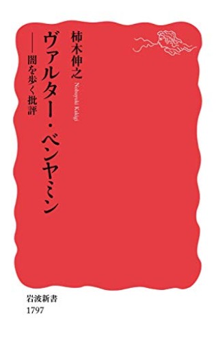 ヴァルター・ベンヤミン: 闇を歩く批評(岩波新書 新赤版 1797)