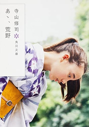 あゝ、荒野（角川文庫）
