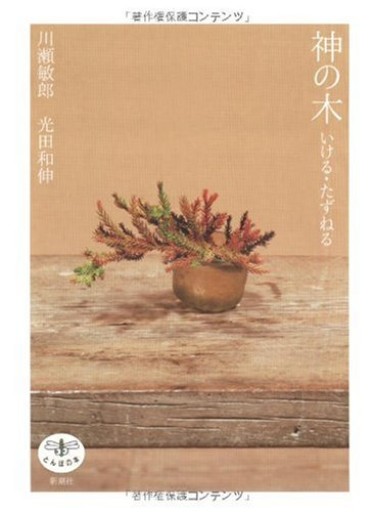 神の木: いける・たずねる（とんぼの本） - いちりん文庫