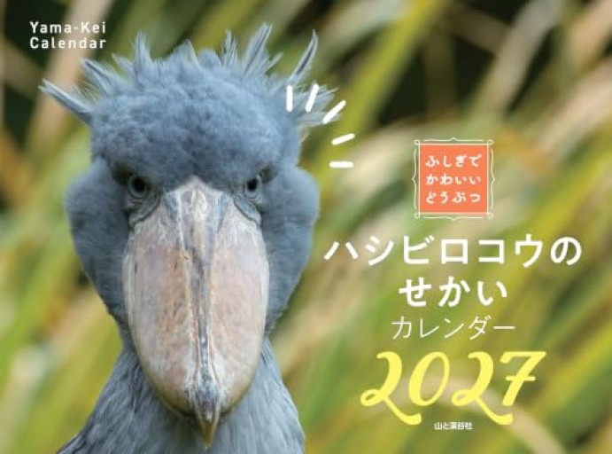 カレンダー2027 ふしぎでかわいいどうぶつカレンダー ハシビロコウのせかい(月めくり/壁掛け/動物 鳥)(ヤマケイカレンダー2027)