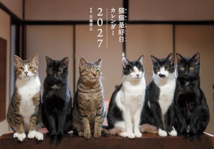 2027 カレンダー 猫猫是好日（ねこねこ これこうじつ）