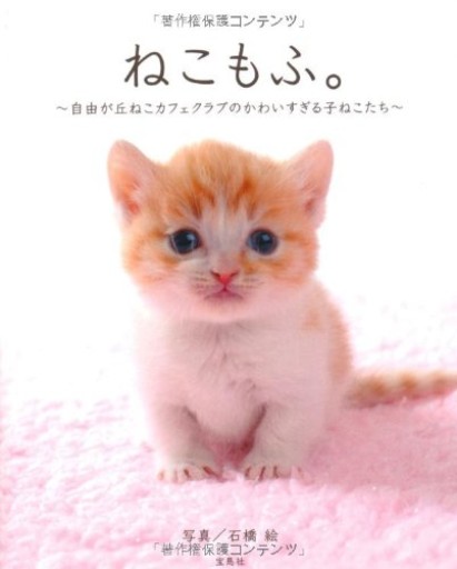 ねこもふ。
