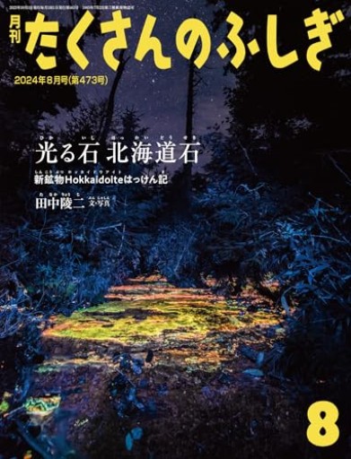 光る石 北海道石 新鉱物Hokkaidoiteはっけん記（たくさんのふしぎ2024年8月号） - あさぎ書房