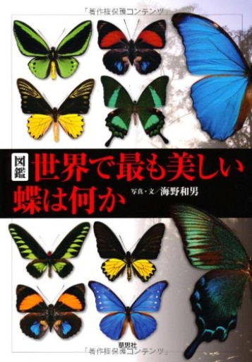 【神保町ブックフェスティバル価格】図鑑 世界で最も美しい蝶は何か