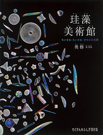 珪藻美術館 ちいさな・ちいさな・ガラスの世界(たくさんのふしぎ傑作集)