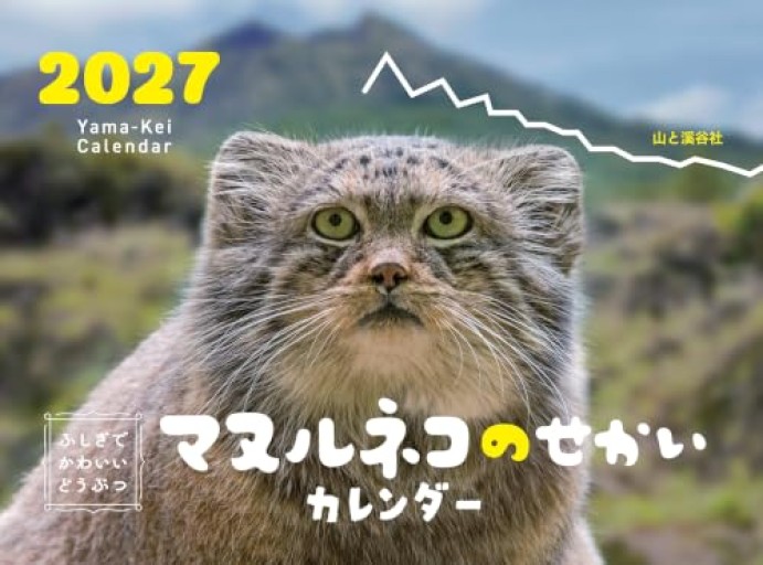 カレンダー2027 ふしぎでかわいいどうぶつカレンダー マヌルネコのせかい（月めくり/壁掛け/動物 猫）（ヤマケイカレンダー2027）