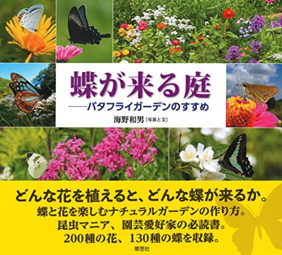 【神保町ブックフェスティバル価格】蝶が来る庭: バタフライガーデンのすすめ