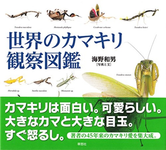 【神保町ブックフェスティバル価格】世界のカマキリ観察図鑑