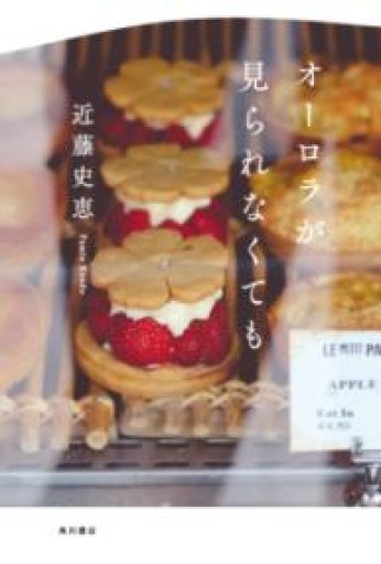 オーロラが見られなくても - 篠ちゃんの本棚