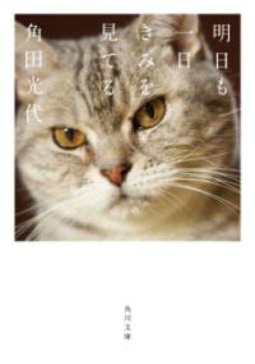 明日も一日きみを見てる（角川文庫） - 角田 光代の本棚
