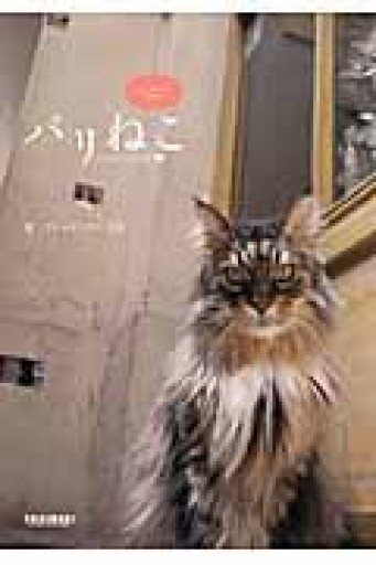 パリねこ - 岸リューリSOLIDA書店