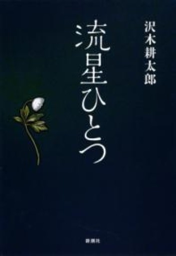 流星ひとつ - 湖南堂