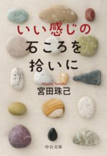いい感じの石ころを拾いに（中公文庫 み 53-1） - 川内有緒の本棚