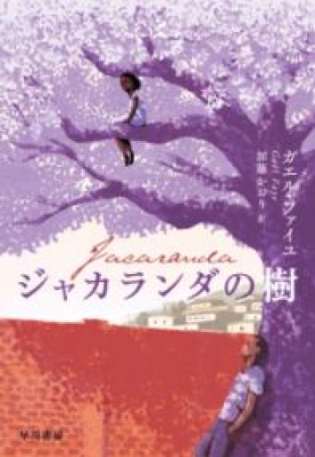 ジャカランダの樹 - 熱帯書店