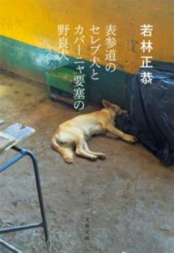 表参道のセレブ犬とカバーニャ要塞の野良犬（文春文庫 わ 25-1） - ラビブ(SOLIDA)