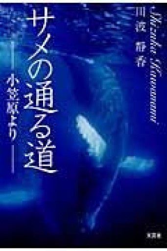 サメの通る道 ―小笠原より― - ヒマラヤ